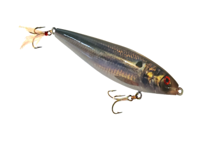 Category Image