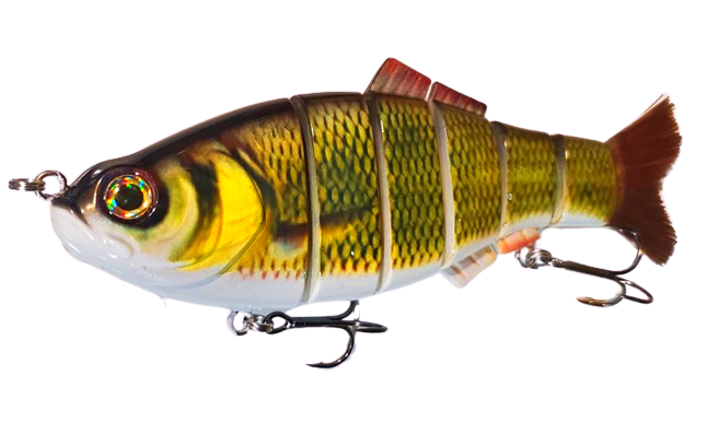 8" Spring Shad Swimbait
