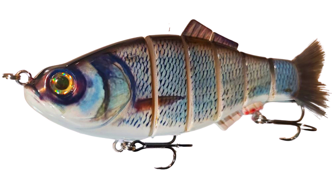 8" Spring Shad Swimbait