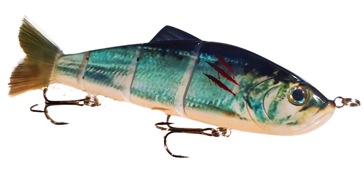 9" Summer Dancer Swimbait