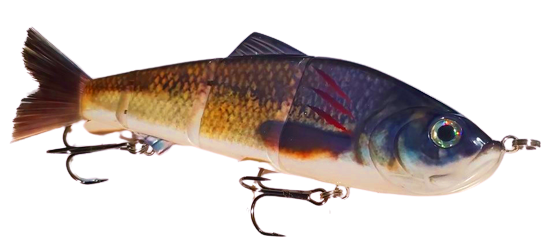 9" Summer Dancer Swimbait