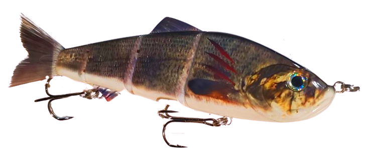9" Summer Dancer Swimbait