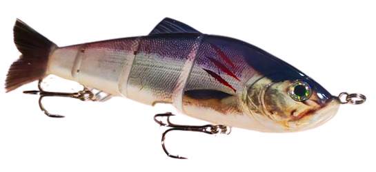 9" Summer Dancer Swimbait