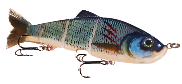 9" Summer Dancer Swimbait