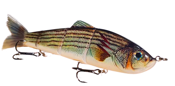 9" Summer Dancer Swimbait