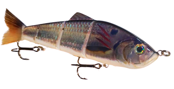 9" Summer Dancer Swimbait