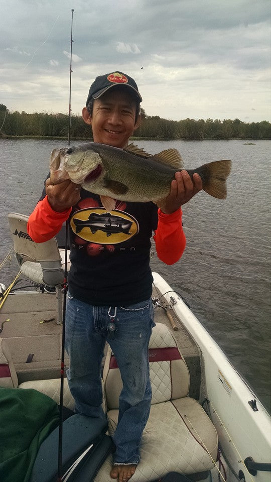9" Summer Dancer Swimbait