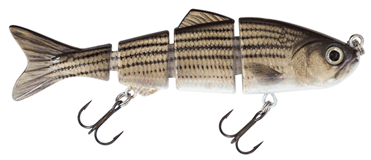 4.50" Summer Dancer Swimbait Striped Bass