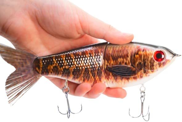 7" Pedigree Glider Snakehead Fish