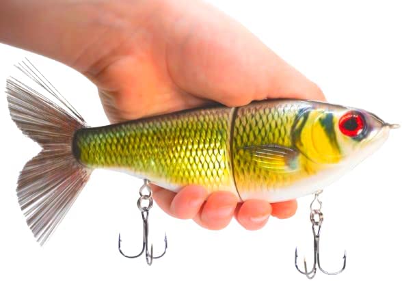7" Pedigree Glider Golden Shiner