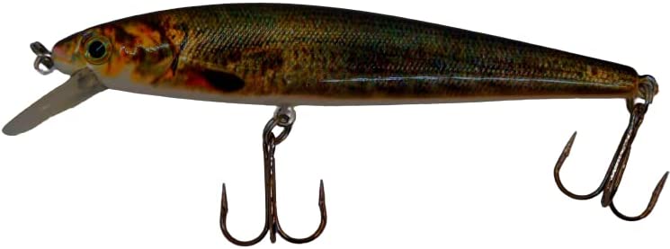 4" Major Minnow Jerkbait Gizzard Shad