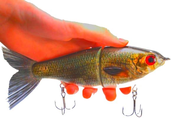 7" Pedigree Glider Gizzard Shad