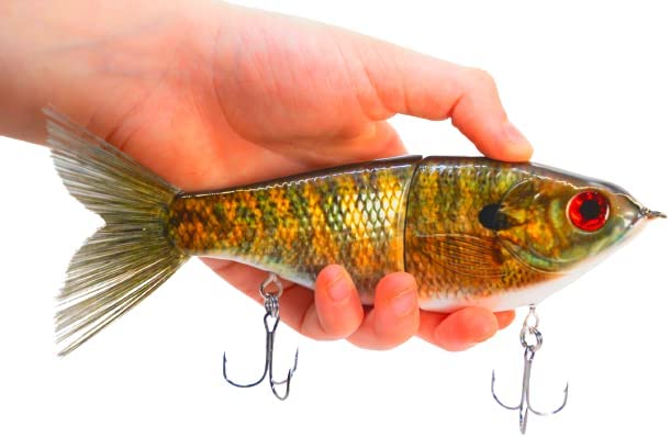 7" Pedigree Glider Bream Bluegill