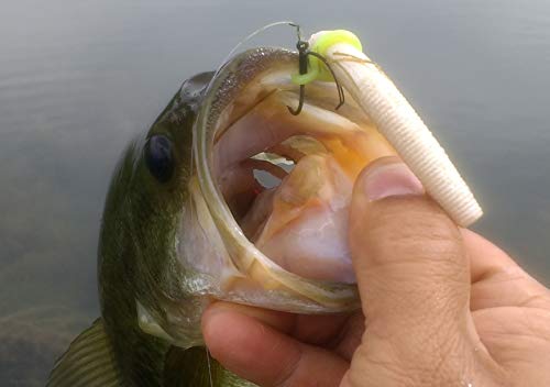 Sink-O-Ring Wacky Rig