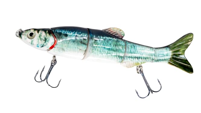 6.50" The Intruder Swimbait Blueback Herring