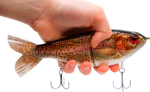 7" Pedigree Glider Rainbow Trout
