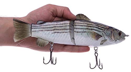 10" RF Glider swimbait Striped Bass