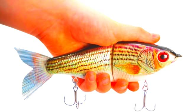 7" Pedigree Glider Striped Bass
