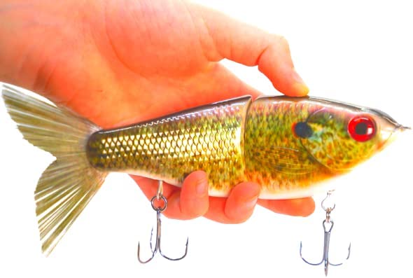 7" Pedigree Glider Redear Perch