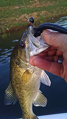 Sink-O-Ring Wacky Rig