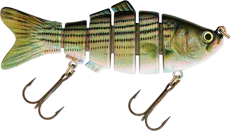 4" Spring Shad Swimbait Striped Bass