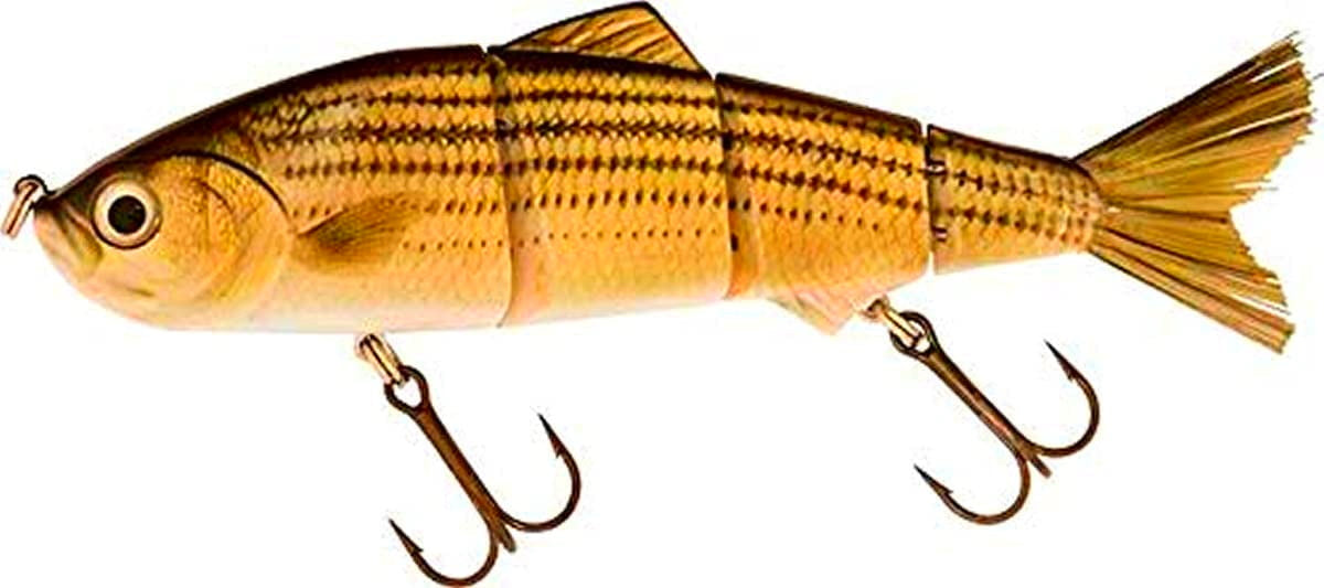 6" Summer Dancer Swimbait Striped Bass