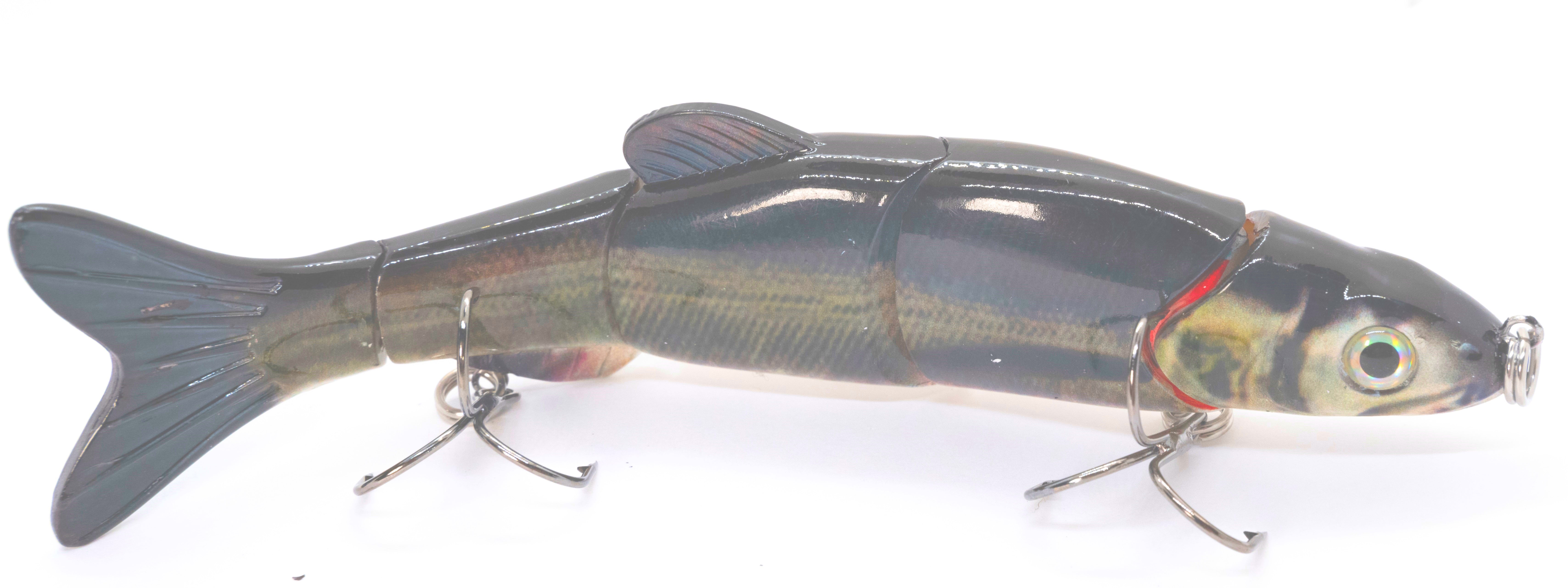 6.50" The Intruder Swimbait Gizzard Shad