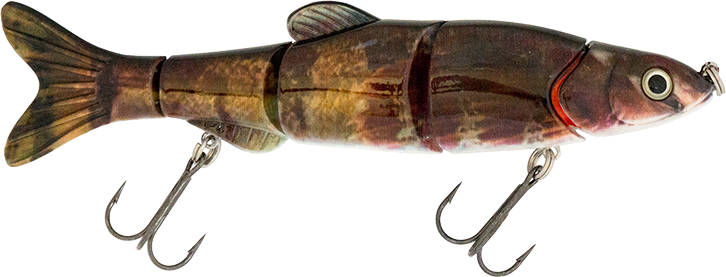 6.50" The Intruder Swimbait Mudsucker