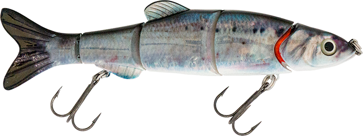 6.50" The Intruder Swimbait Threadfin Shad