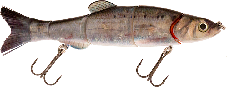 6.50" The Intruder Swimbait Threadfin Shad