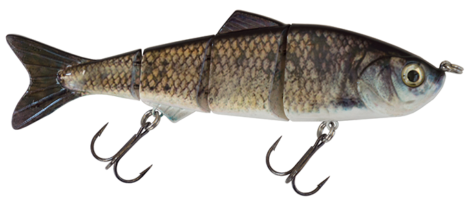 6" Summer Dancer Swimbait Clear Lake Hitch