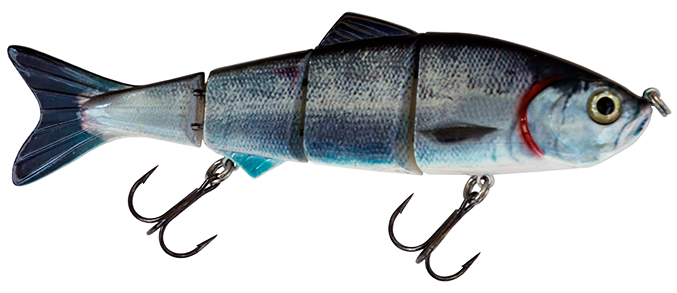 6" Summer Dancer Swimbait Kokanee
