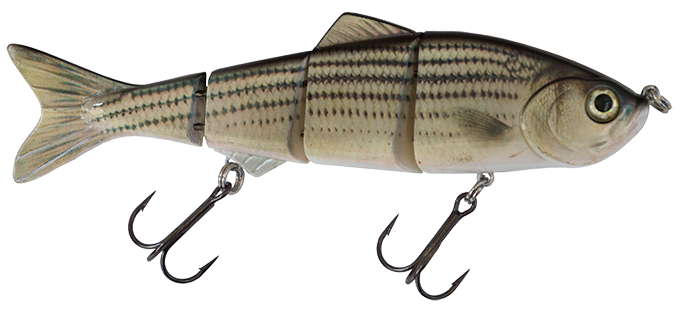 6" Summer Dancer Swimbait Striper