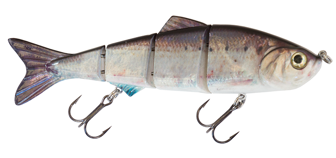 6" Summer Dancer Swimbait Threadfin Shad