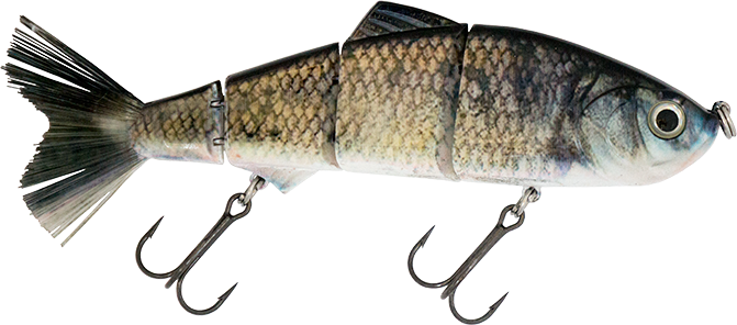 6" Summer Dancer Swimbait Clear Lake Hitch