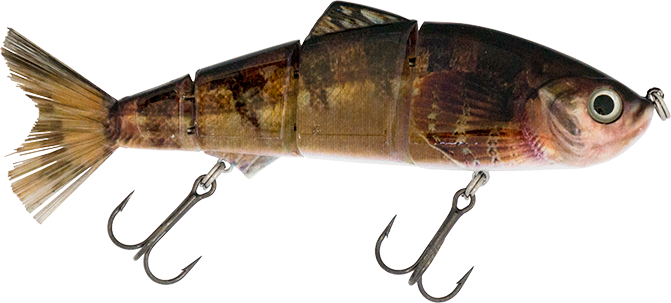 6" Summer Dancer Swimbait Mudsucker