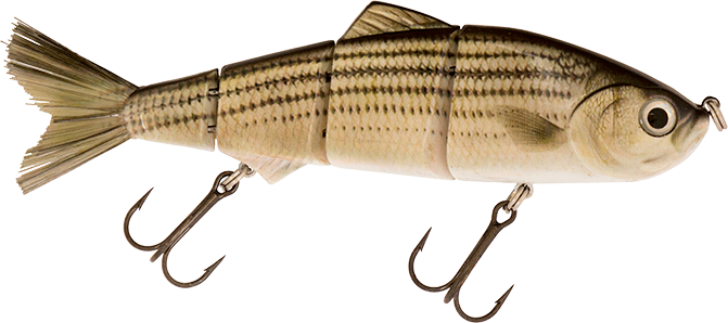 6" Summer Dancer Swimbait Striper