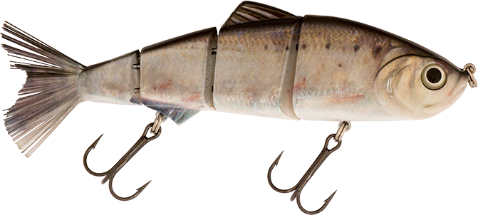 6" Summer Dancer Swimbait Threadfin Shad
