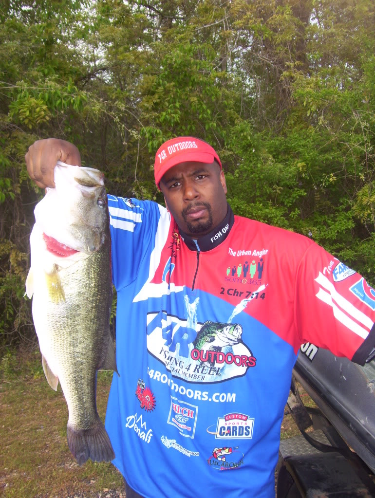 8" Spring Shad Swimbait