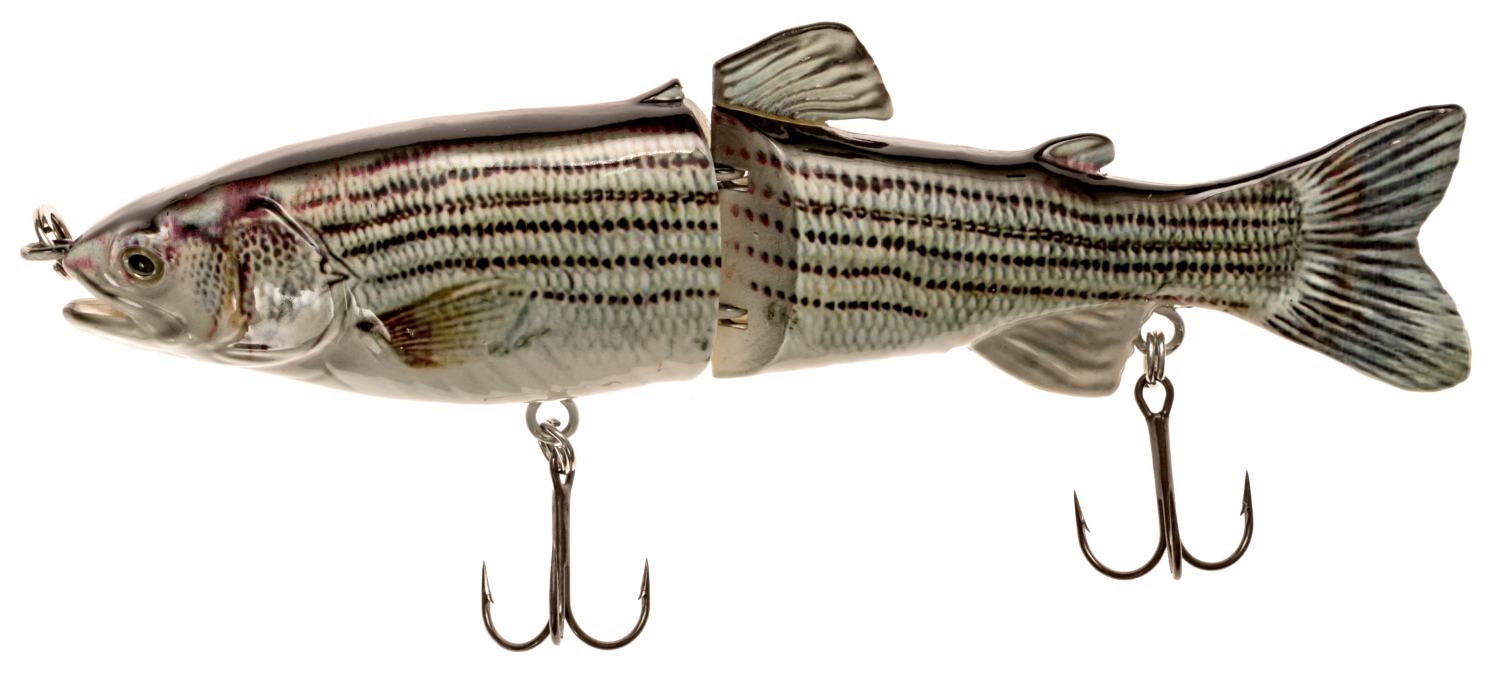 7" RF Glider Swimbait Striped Bass