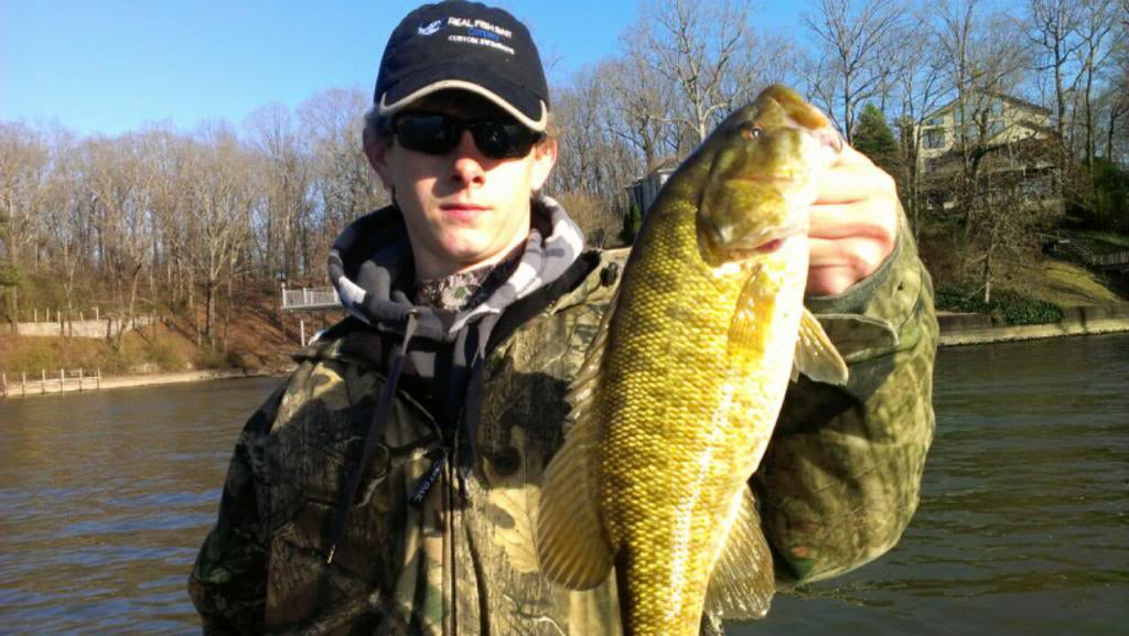 4" Spring Shad Swimbait