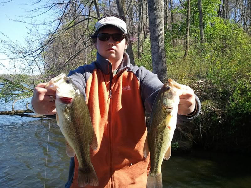 6" Summer Dancer Swimbait