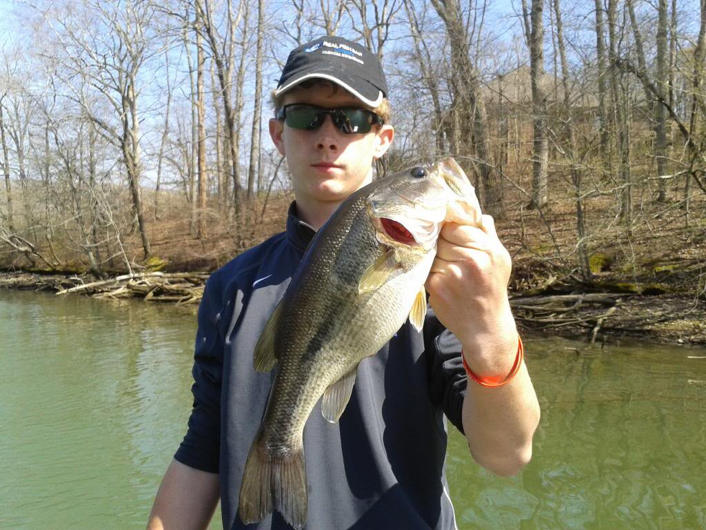 4" Spring Shad Swimbait