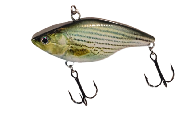 2.75" DDT Lipless Crankbait Striped Bass