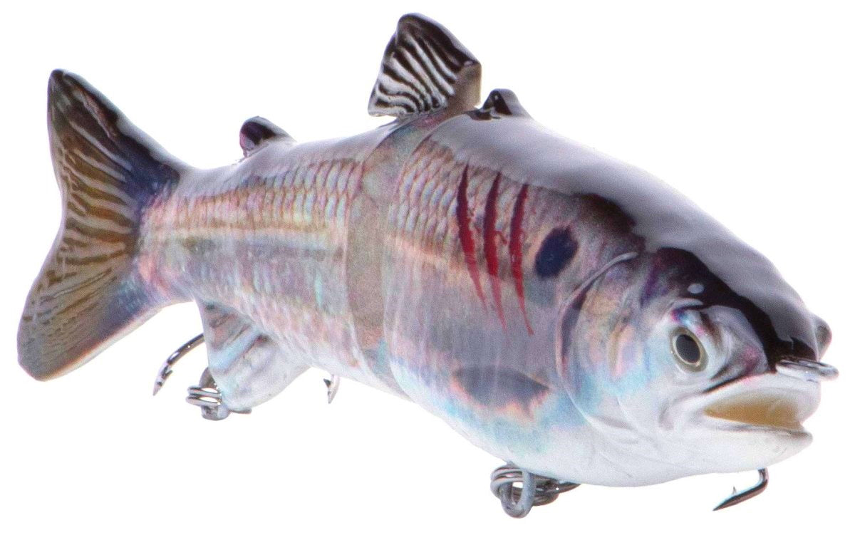 7" RF Glider Swimbait Threadfin Shad Injured