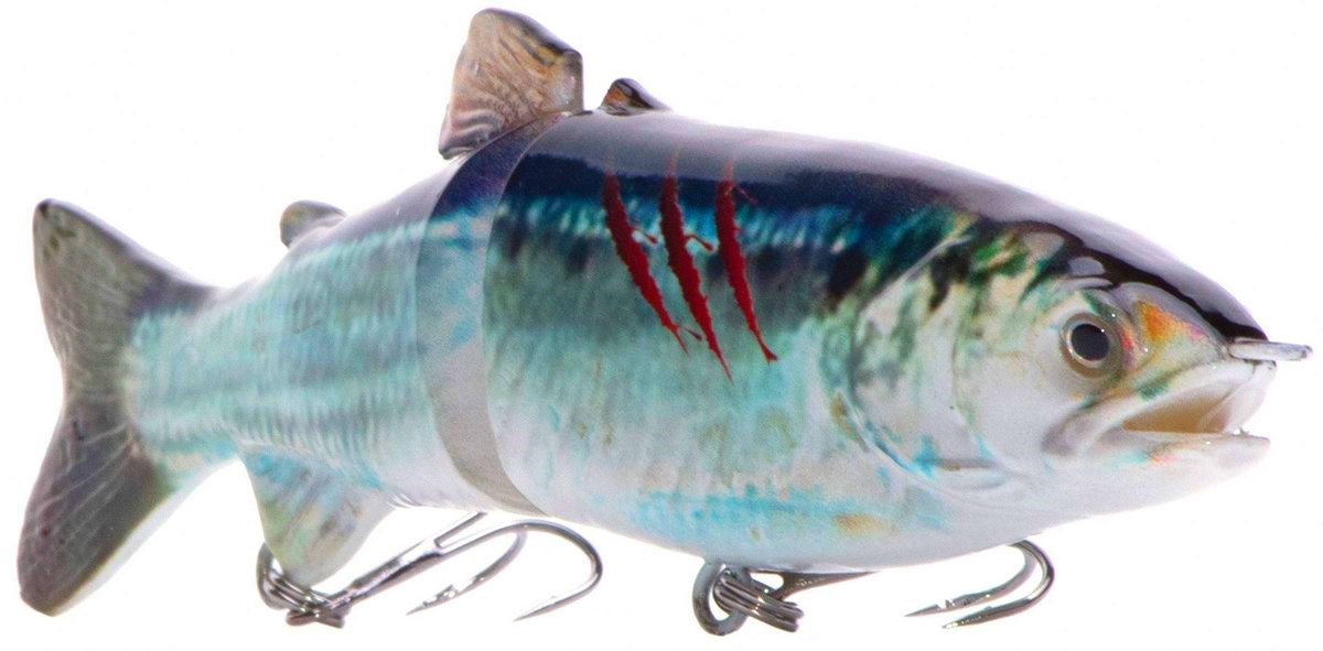 7" RF Glider Swimbait  Bluback Herring