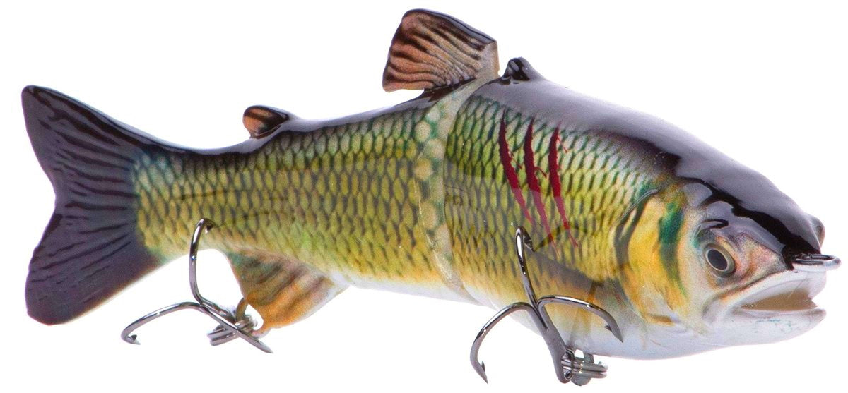 7" RF Glider Swimbait Golden Shiner Injured