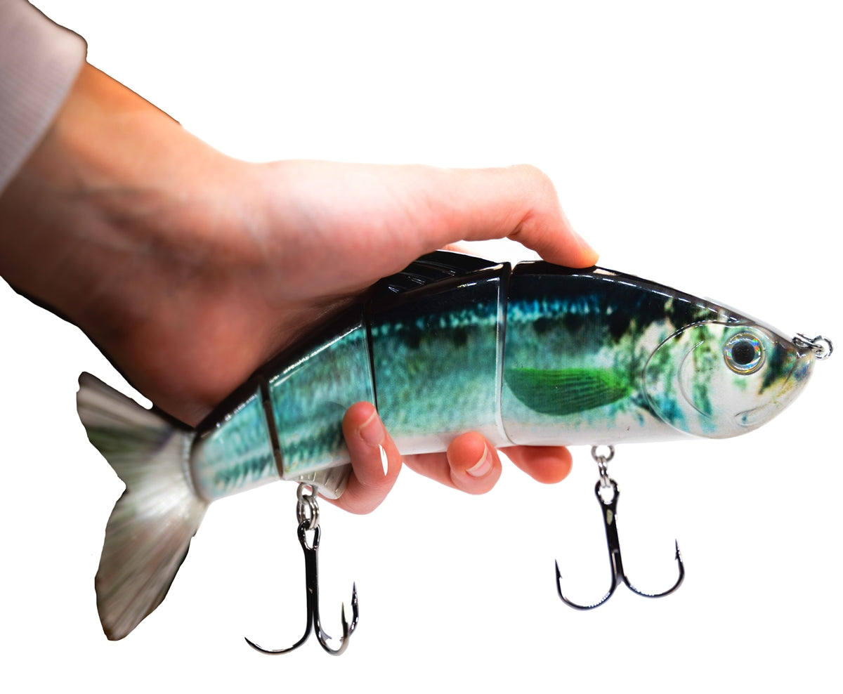 9" Summer Dancer Swimbait Blueback Herring