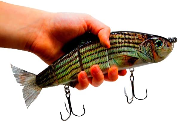 9" Summer Dancer Swimbait Striper