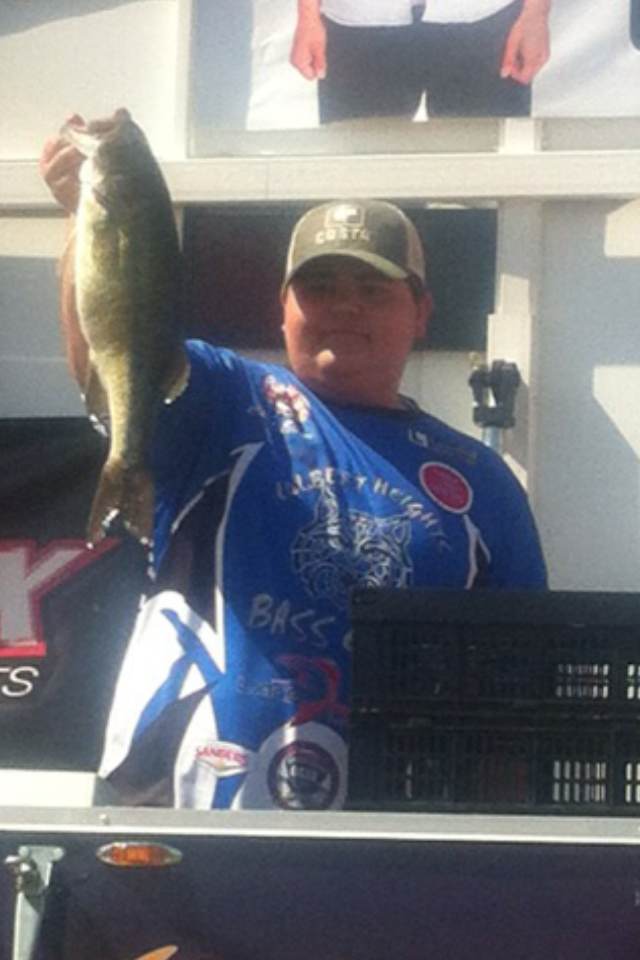 6" Summer Dancer Swimbait
